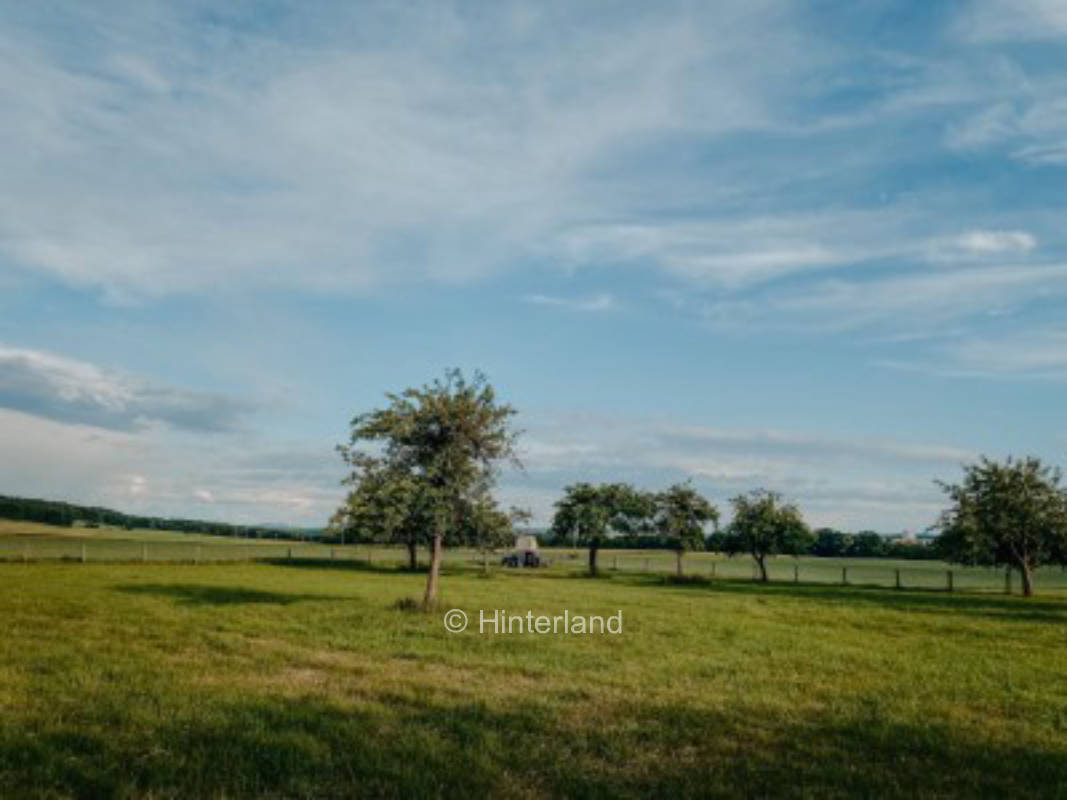 Orchard meadow in Saxon Switzerland