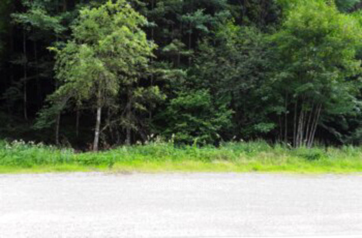 Camping an der Witticher Talstraße im Schwarzwald