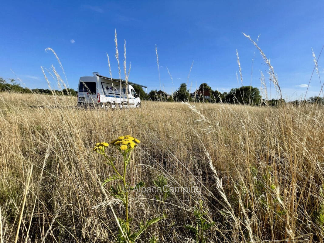 Pitch in Neulangsow #1