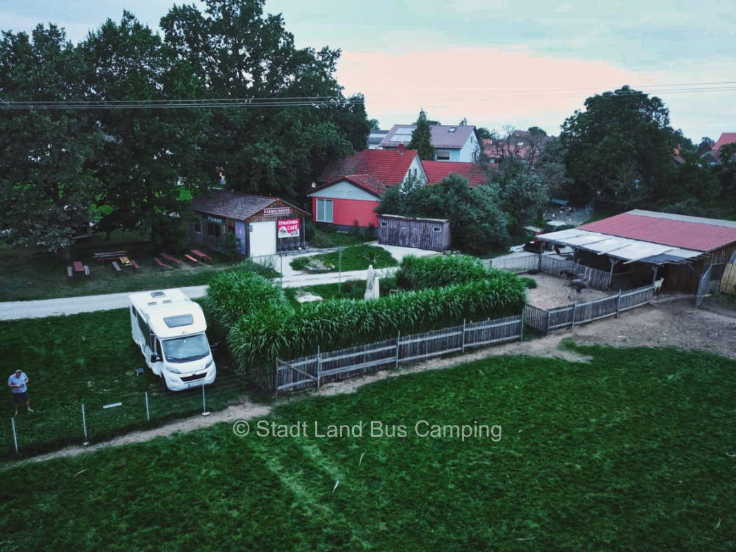 Pitch in the middle of the ostrich farm 1