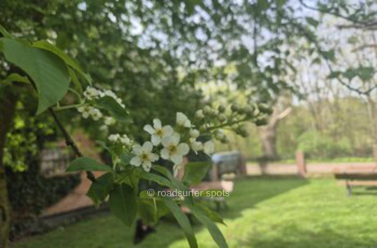 Camping Zoltáns Hof 