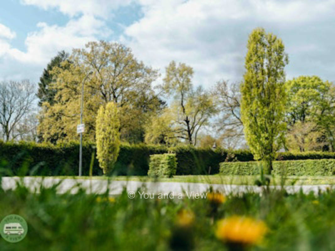 Wiesenblick