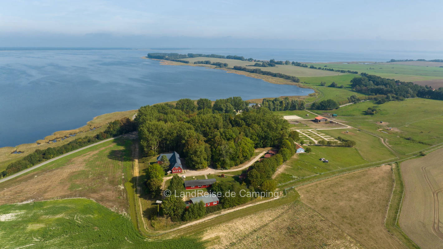 Bernsteinreiter Barth