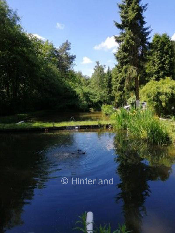 Stellplatz mit Fischteich​en am Wald, privater Stellplatz