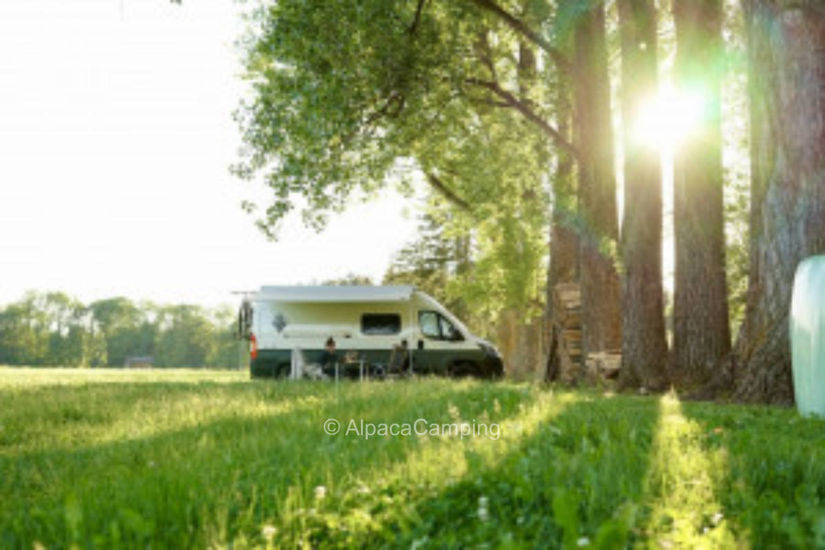 Quiet location close to nature #6