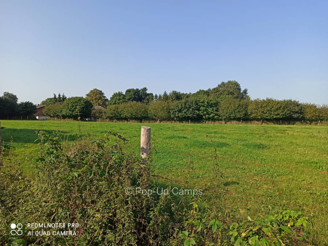 Relaxed place on a meadow in Böklund
