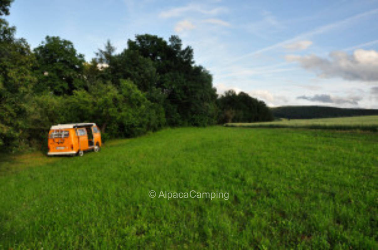 Pitch on the orchard with a view of the surroundings #2