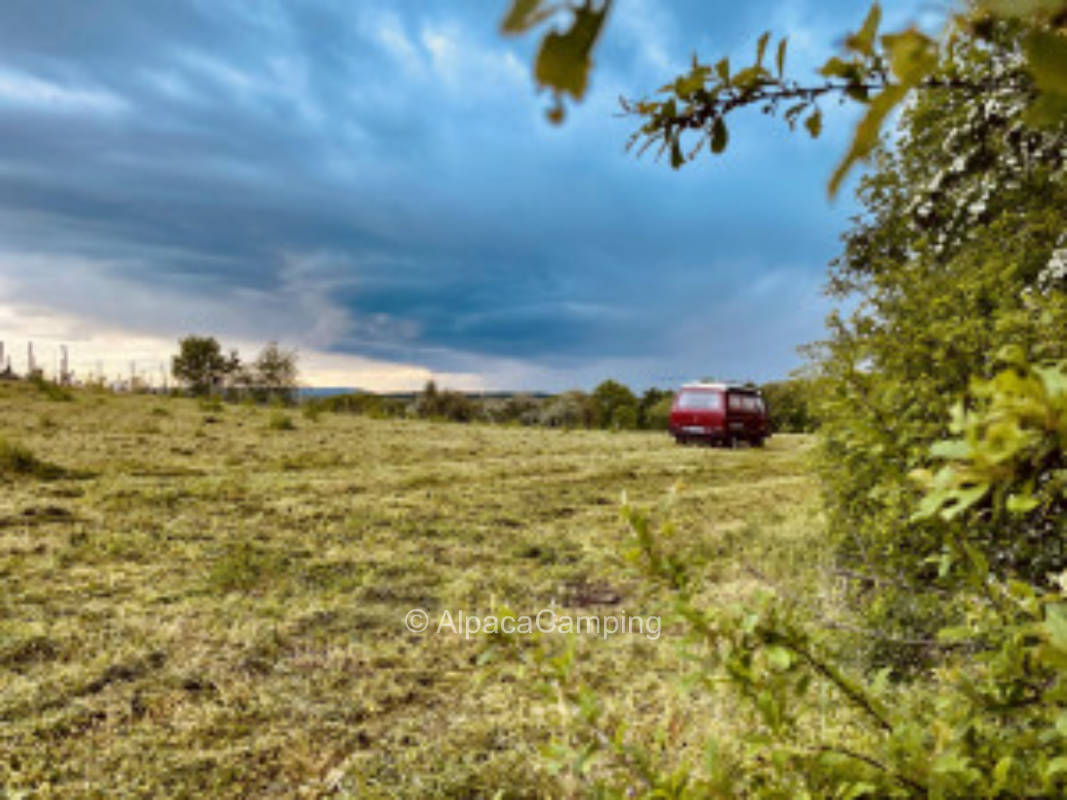 In a meadow at the foot of Herrenberg's #2