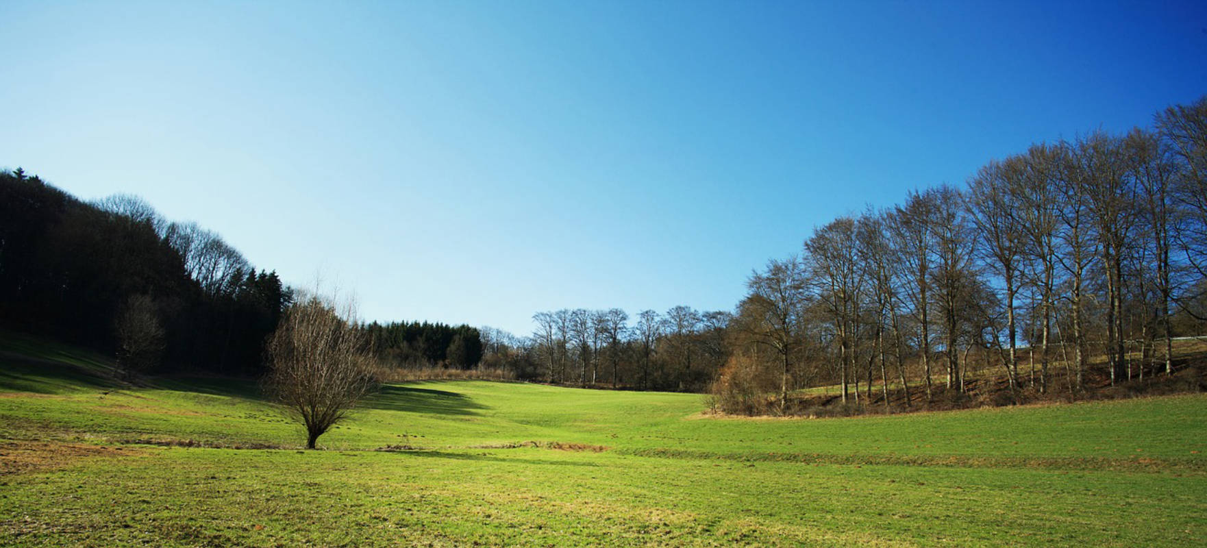 Der Oberpfälzer Wald - Ein möglicher Stellplatz?