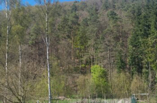 Farm with meadow, forest and stream. Siegsteig