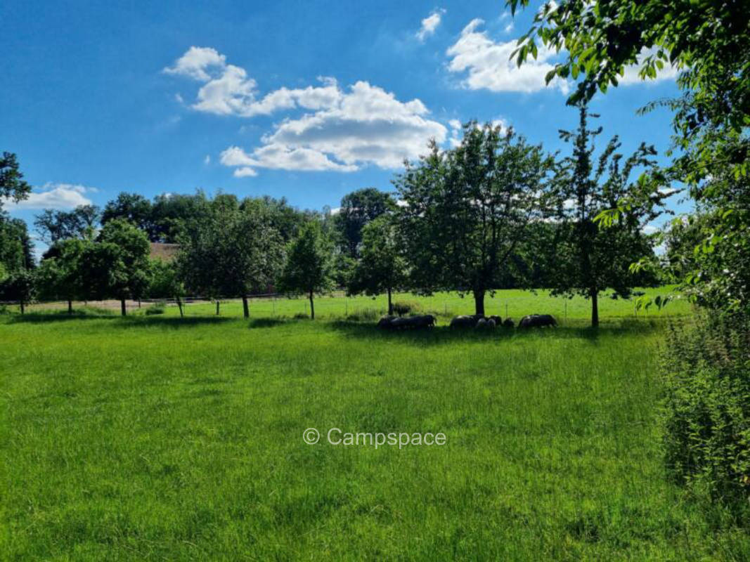 Campspace in Andervenne, Niedersachsen