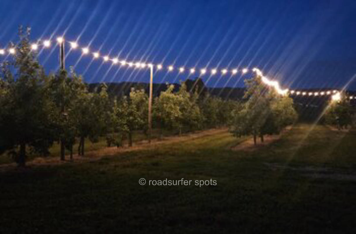 Camping mitten in der Apfelanlage