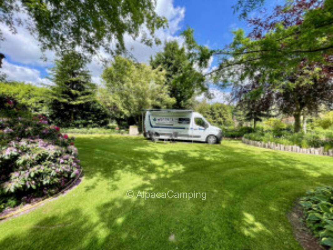 Beautiful view in our garden