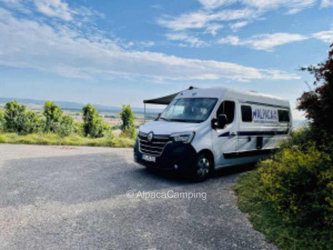 Weitblick über den Reben von Wiebelsberg