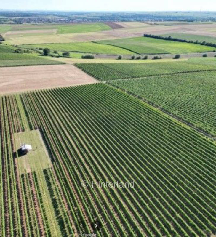 Einzigartig campen im fränkischen Weinland