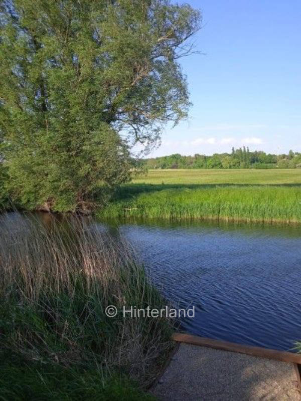 Naturwiese im Tollensetal am Wasser