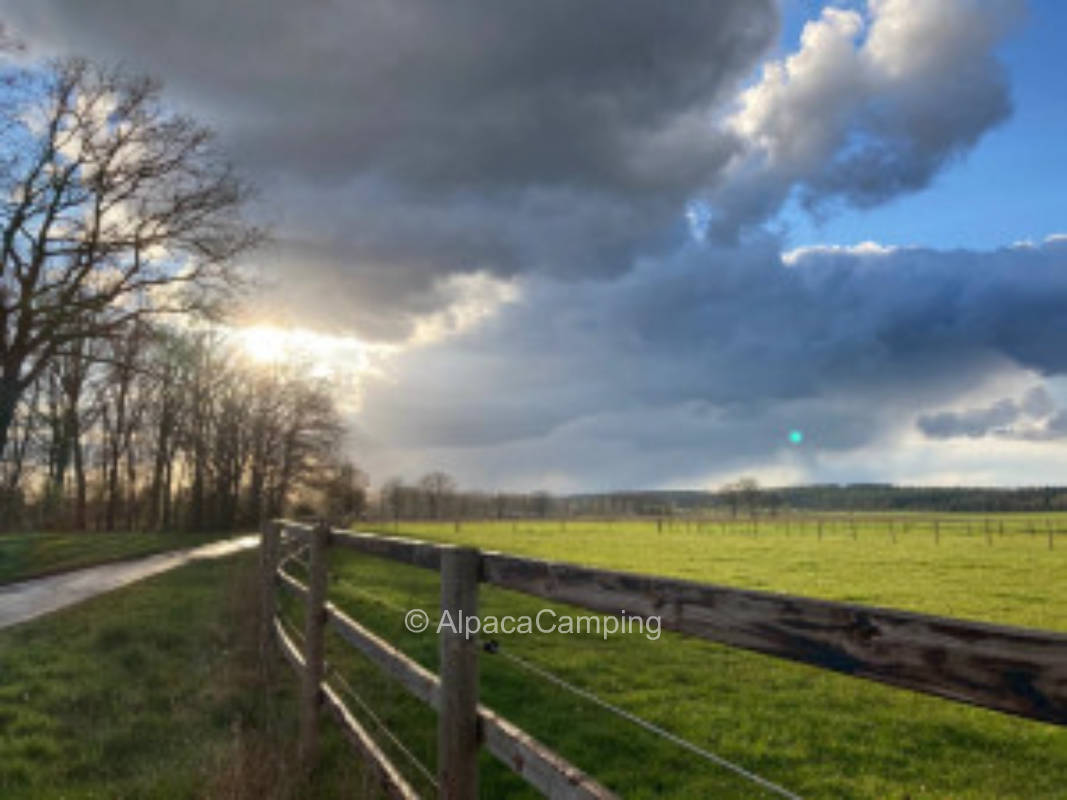 Campen zwischen Wald und Wiese #2