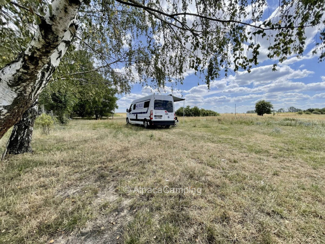 Nature trail with vision and tranquility #1