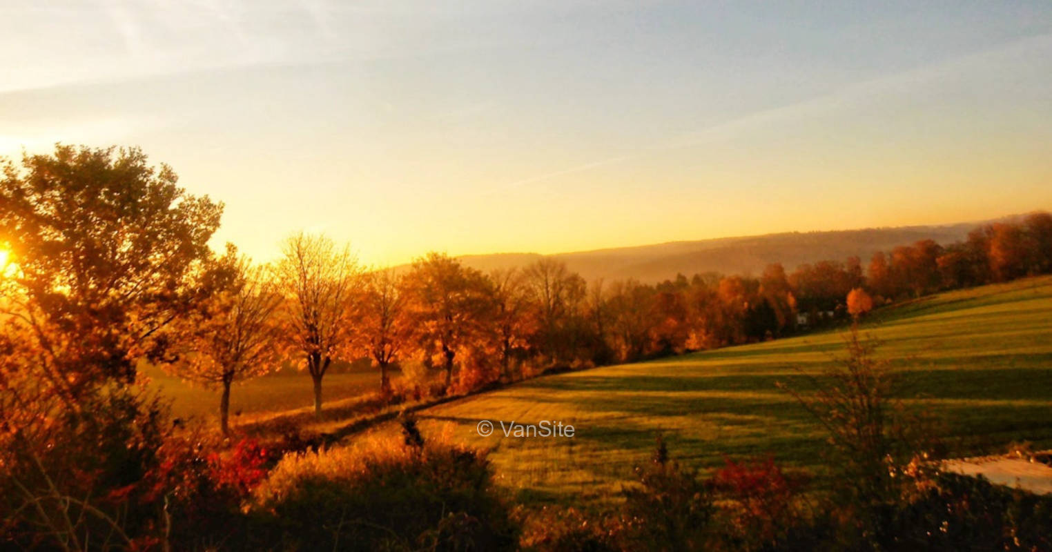 auf der Wiese + am Wald