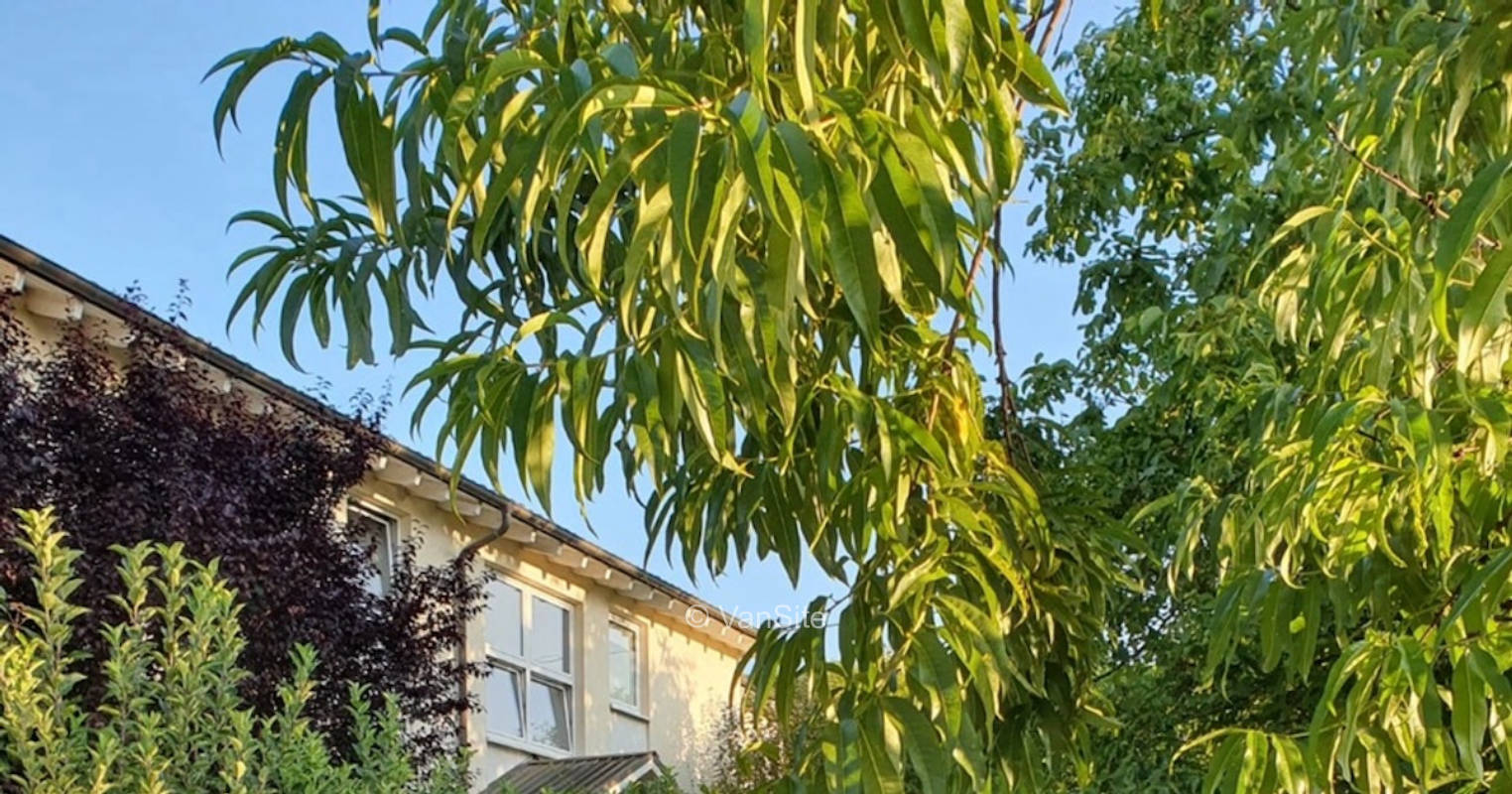 Auf dem Weingut im schönen Gräfenbachtal