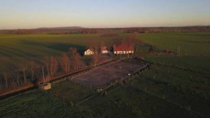 Sonnige Übernachtungsmöglichkeit in Ponywiese
