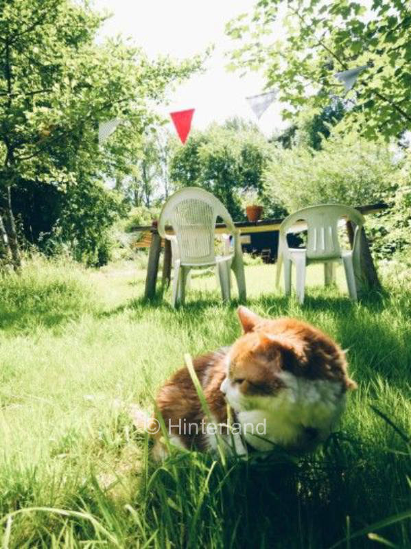 Stadtnah mit Dorffeeling und Ponys in Hamburg