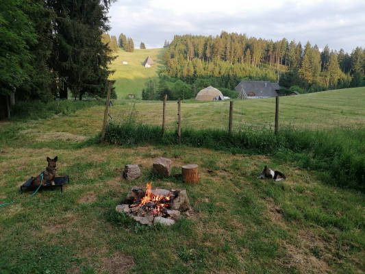 Ruhiger wiesenwaldplatz