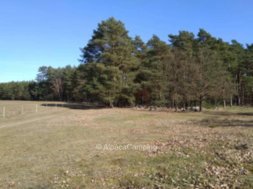 Nature camping at the horse farm #1, privater Stellplatz