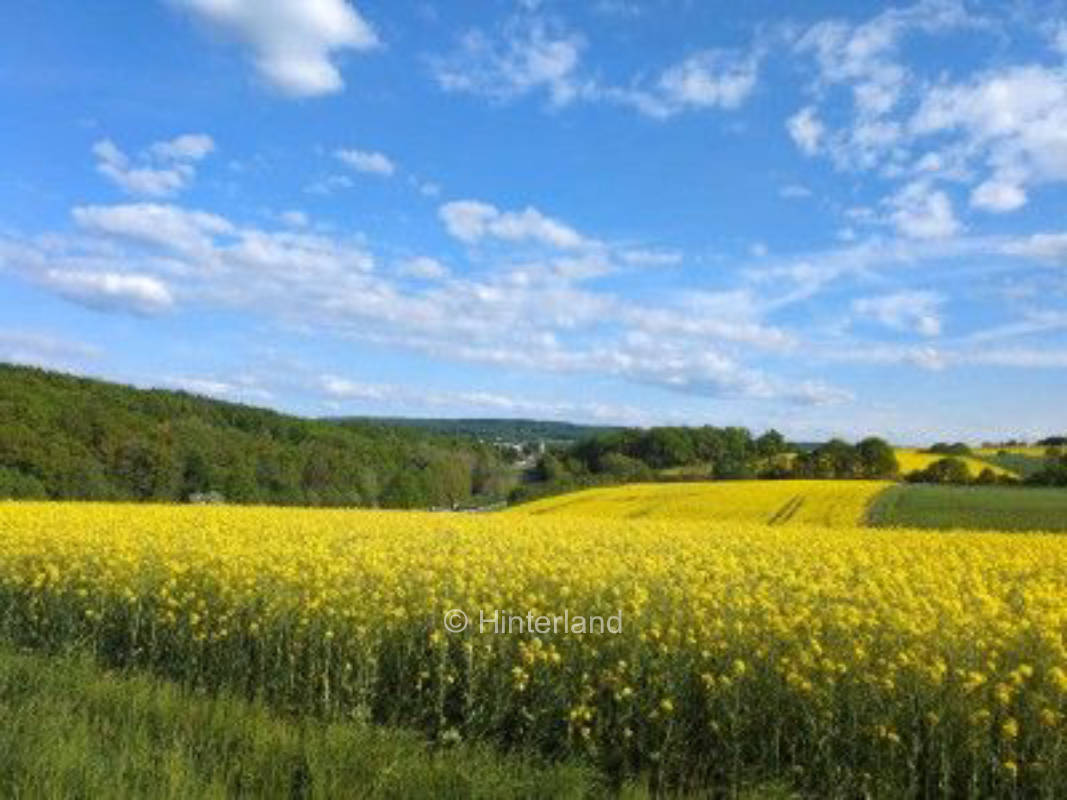 Blick in die Landschaft über dem Siebenmühlental