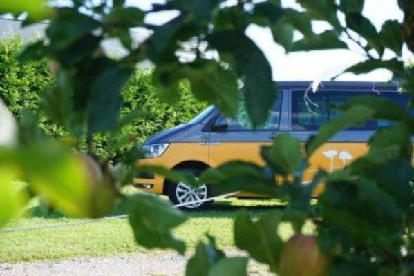 Camping mit Blick auf Bodensee-Apfelbäume
