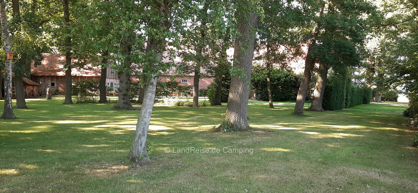 Shady place under the oak trees at Barke yard