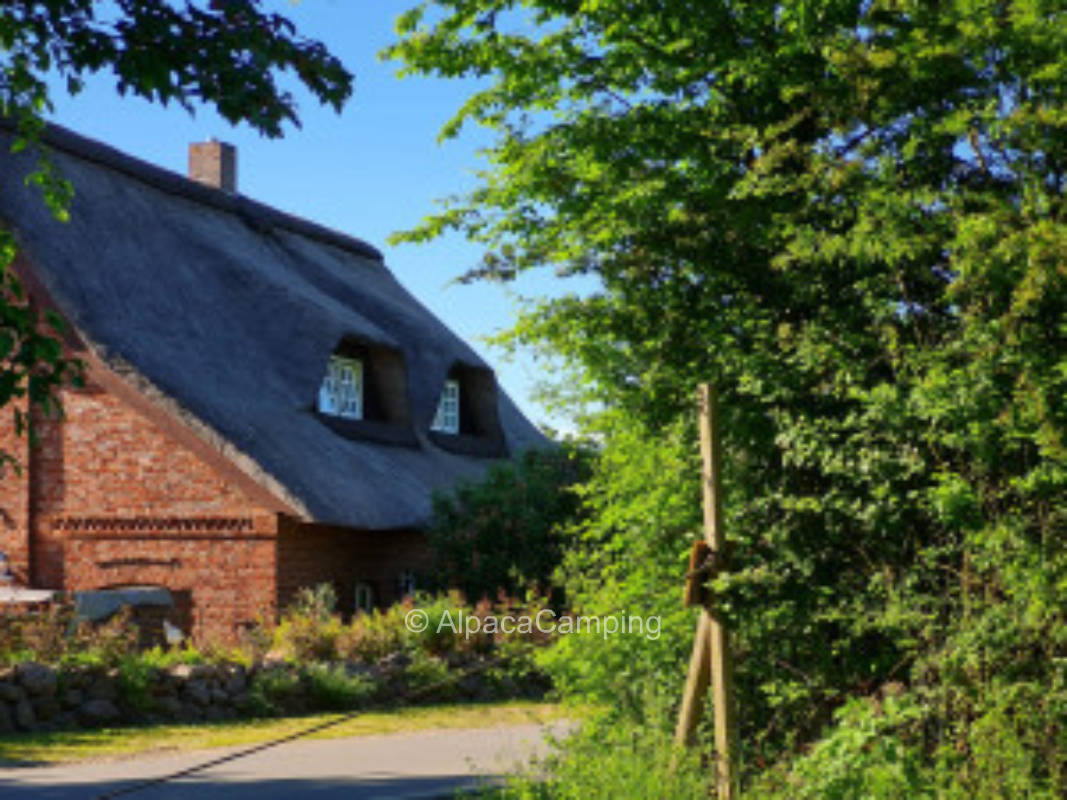 Time out in the country - dogs welcome