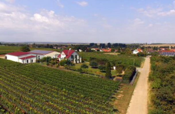 Camping am Weingut Kiefer