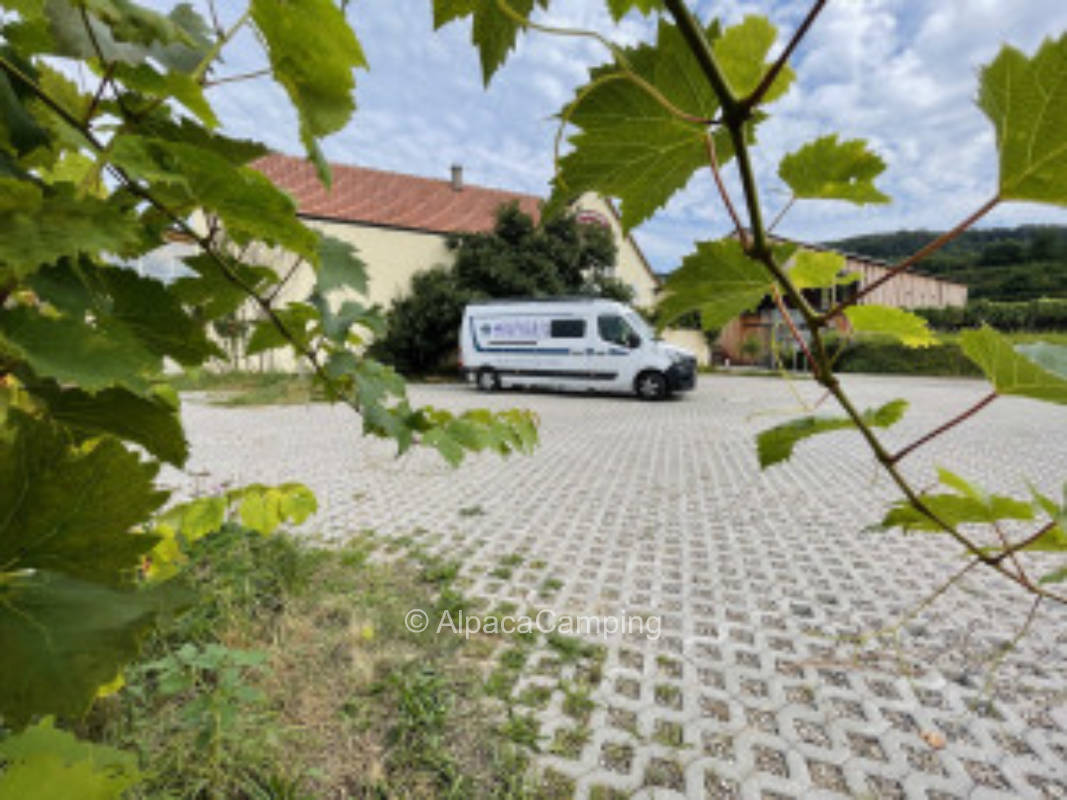Camping auf einem befestigten Platz in den Weinbergen