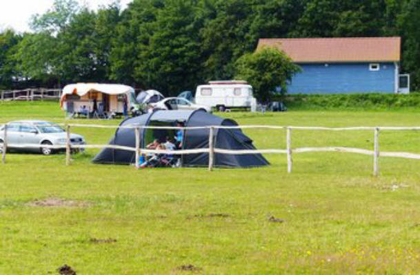 Camping tent site on the tent meadow