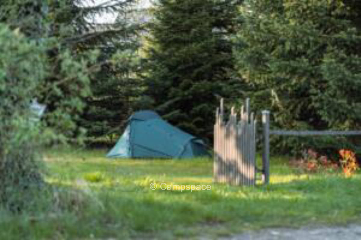Private camping in Dohren mini forest