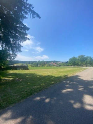 Forest Edge Bliss: Nature & Tranquility in Gaugenwald