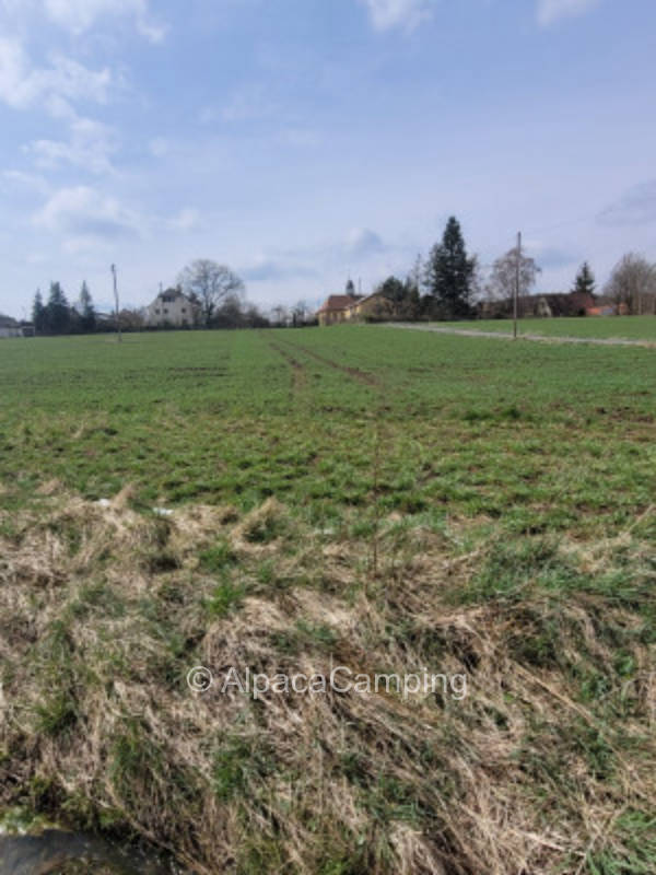 Close to the farm and yet alone