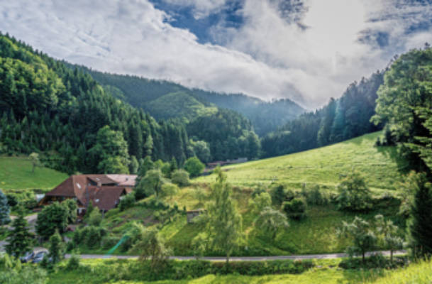 Camping mit Wald im Rücken und Tal voraus
