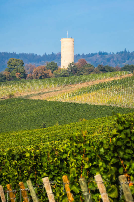 Der Rheingau - Ein möglicher Stellplatz?