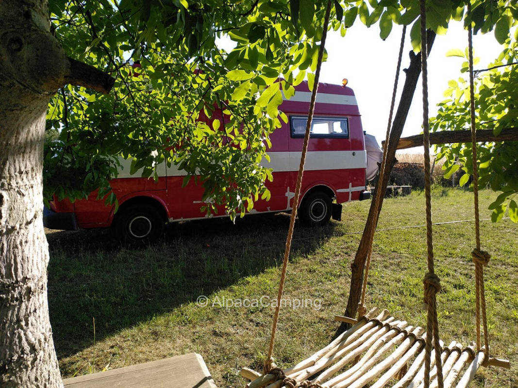 AlpacaCamping 6421