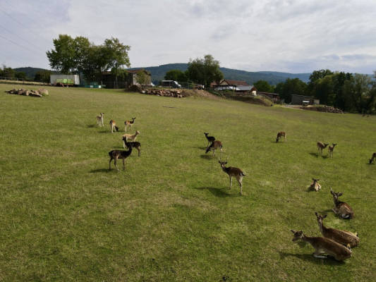 Caravan & Motorhome Site in Eschau