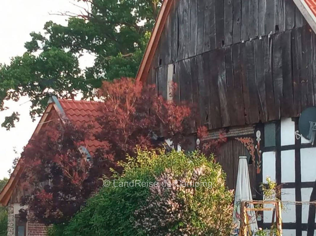 Wohlfühlwohnung im Grünen auf Pferdehof
