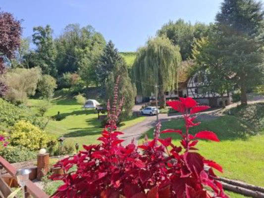Secluded location "Komm ins Paradies" up to 4 people.