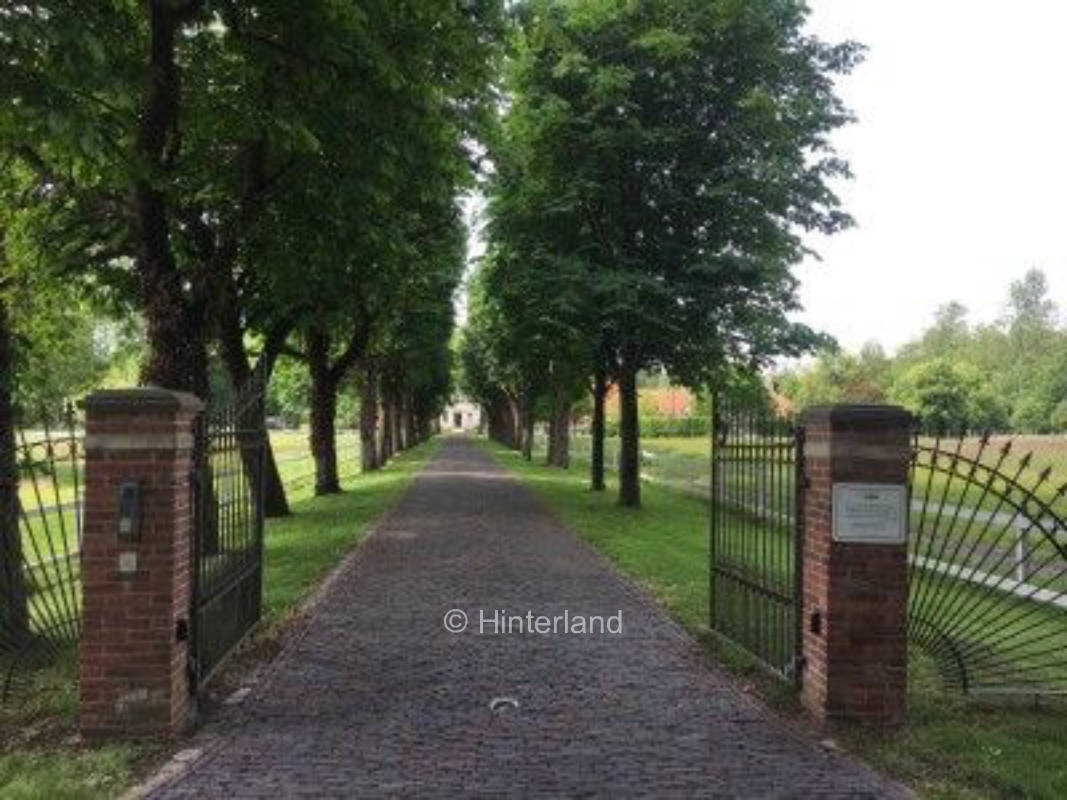On the edge of the oak grove with a view over meadows