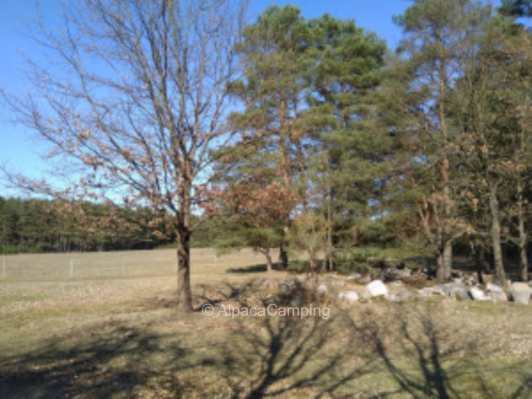 Nature camping at the horse farm #2