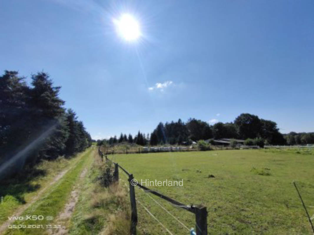 Heidjer Ruhe in der Lüneburger Heide