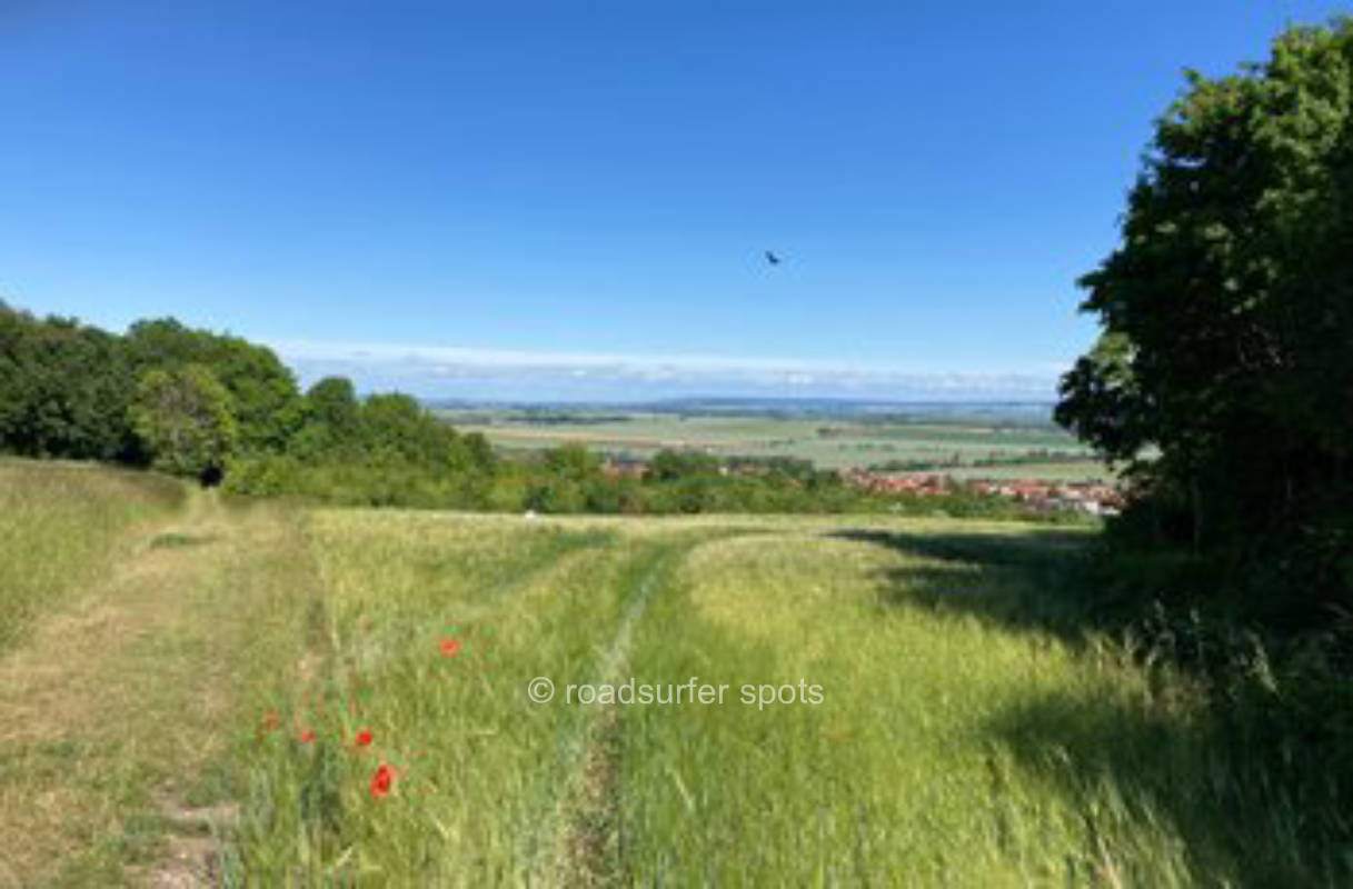 Abgelegenes Gehölz am Waldrand mit Fernblick