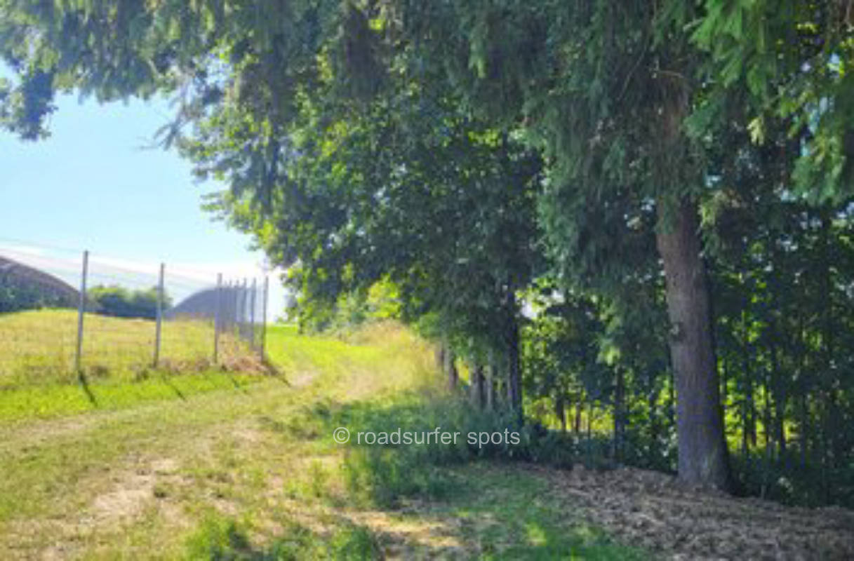 Ruhiger Camping Stellplatz am Waldrand