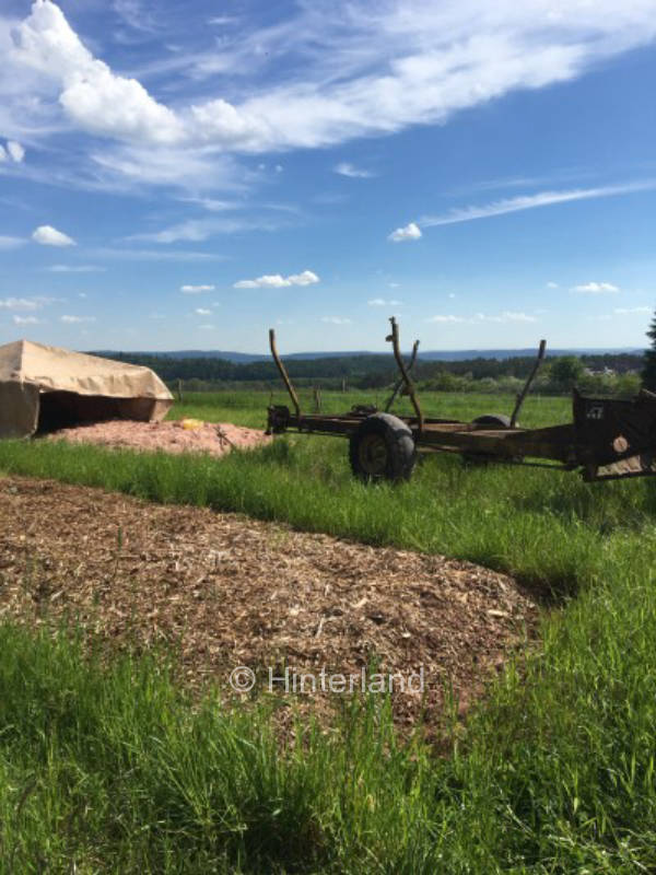 Aussicht auf ein SoLaWi und Permakulturprojekt